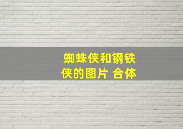 蜘蛛侠和钢铁侠的图片 合体